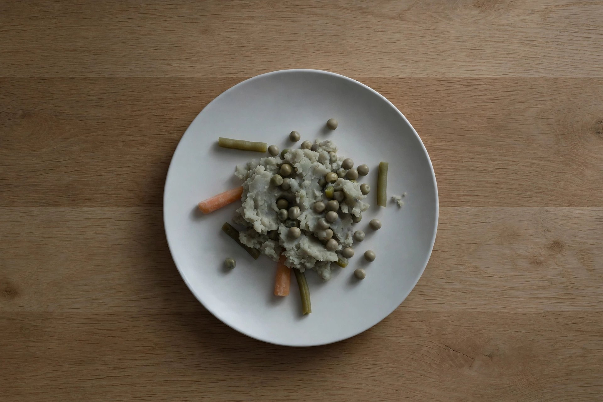 Plain dull food carelessly plated